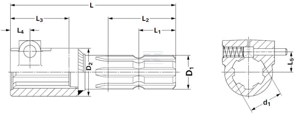 531030102_SUPP_TD