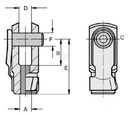 CA98080_TD