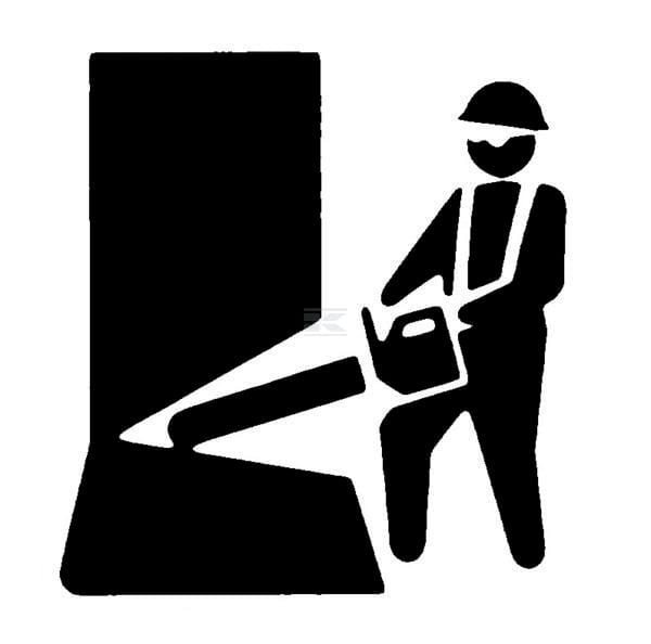 PROFESSIONAL