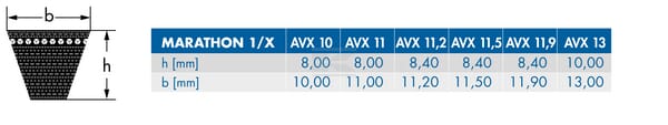 OPTIBELT_AVX_TD