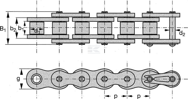 CHAINS_REX_8187_SIMPLEX_TD