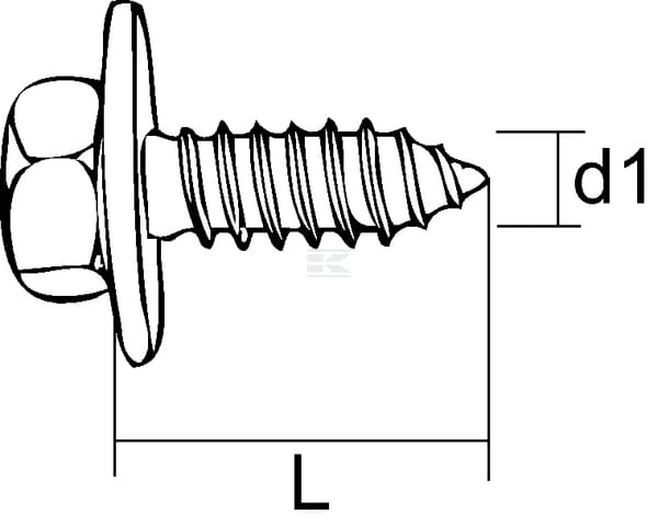 DIN6901_TD