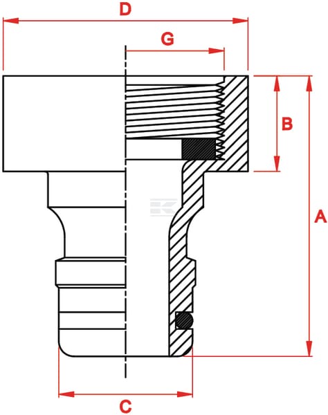 TAP_FEMALE_G_TD