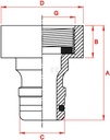TAP_FEMALE_G_TD