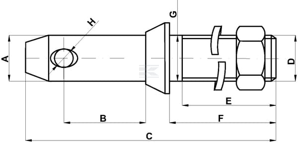 Z422101_TD