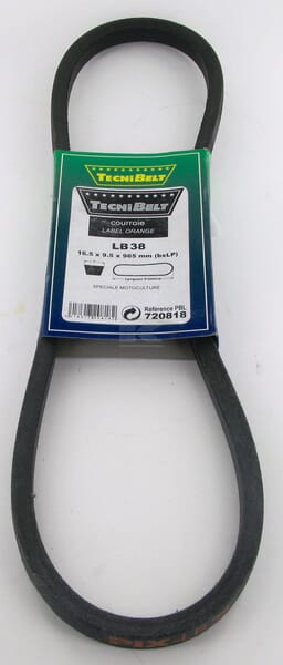 FGP720818