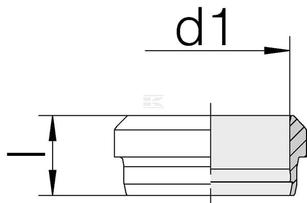 0006002000_12577_2_TD