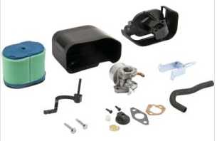 Carburateur complet Briggs and Stratton