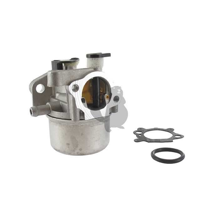 [794304] Carburateur adaptable BRIGGS et STRATTON pour moteurs 124L02 124L05 124L07 124T02. Remplace origi, 796707, 5208254, 520-8254, 799866.