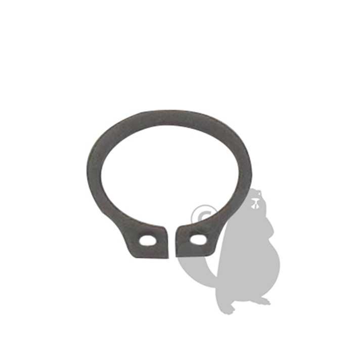 Circlips SR - 100 1, 6400065, 640-0065