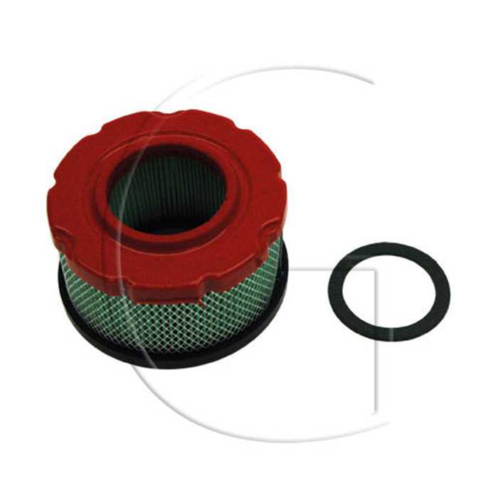 Filtre à air BRIGGS et STRATTON / Mod. : 09 10 / Orig. : 797819, 0108-14089