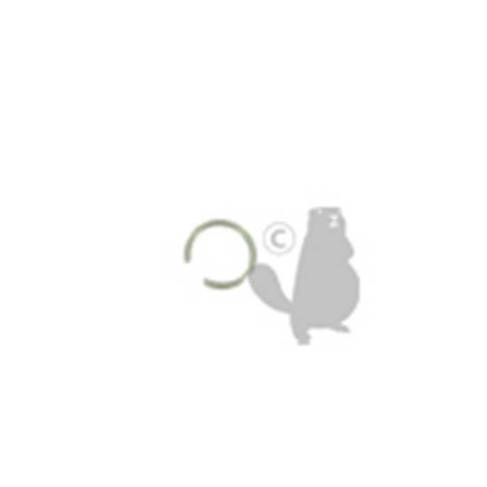[16-42.] Clip de maintien pour tamis dalimentation adaptable pour carburateur WA. Remplace origine: 16-42., 5205151, 520-5151