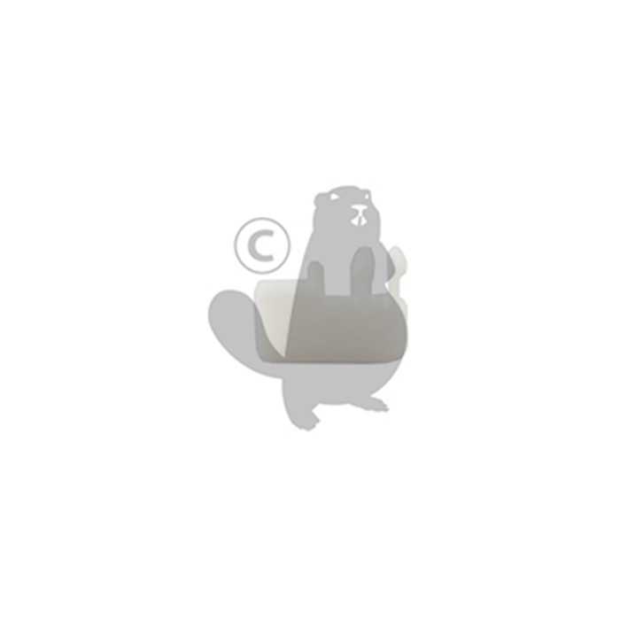 [61070038.] Cliquet de lanceur adaptable EFCO 8250 - OLEO MAC 725. Remplace origine 61070038., 5109920, 510-9920