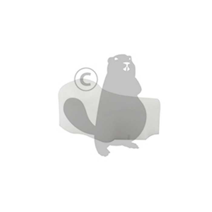 Cliquet de lanceur adaptable EFCO modèles 131 132 135 138 141 142 145 146 150 151 - OLEO MA, 5109916, 510-9916