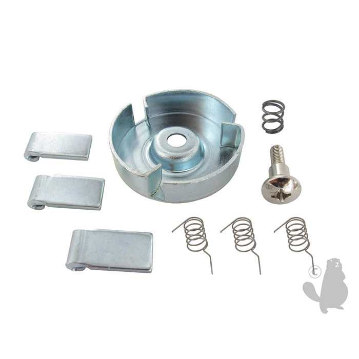 Kit cliquets pour lanceur TECUMSEH 5105873., 5105879, 510-5879