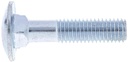 Vis tête bombée collet carré M10x45 8.8