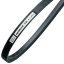 Courroie b60 Countax de 122cm, B60, 22886700