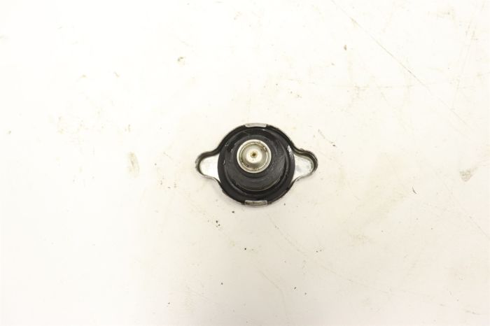 BOUCHON RADIATEUR RTV 900, 3C001-17110