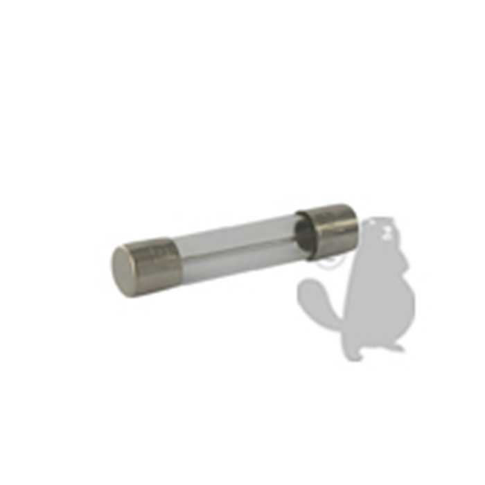 Fusible de protection AGC 20 A, 2706551, 270-6551