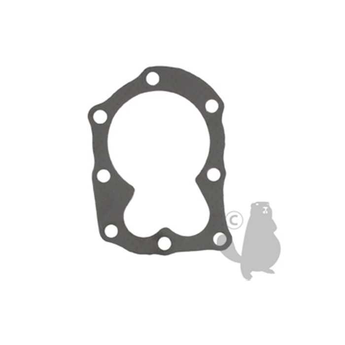 Joint de culasse graphite adaptable pour moteur BRIGGS et STRATTON pour 09K502 09L502 09T501. Remp, 5401301