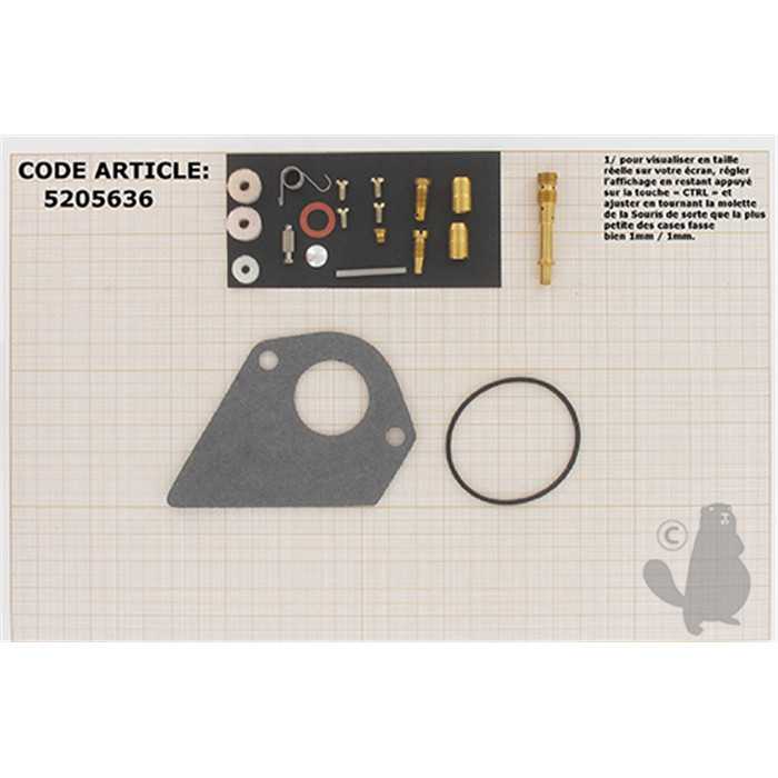 Kit de réparation carburateur adaptable BRIGGS et STRATTON pour moteurs DIAMOND I/C 15 5 cv VANGUAR, 5205636, 520-5636
