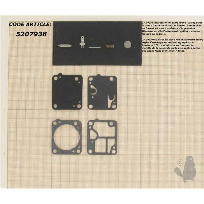 [RB-19] Kit réparation adaptable pour carburateur monté sur ECHO CS4600 Mc CULLOCH 110 120. Remplace origi, 5207938, 520-7938