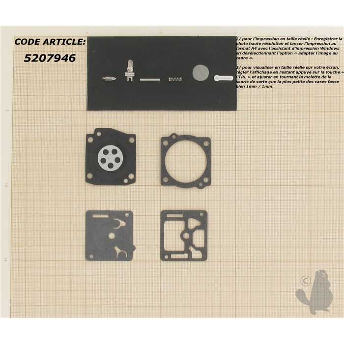 Kit réparation adaptable pour carburateur C1U monté sur Green Machine Solo 644 et autres. Remplace, 5207946, 520-7946
