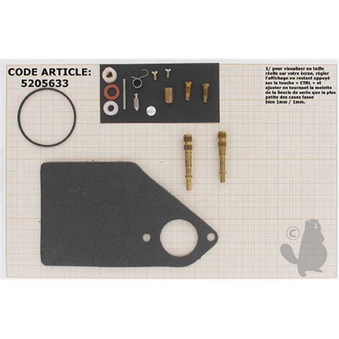 Kit de réparation carburateur adaptable BRIGGS et STRATTON pour moteurs 176400 192400 196400 1974, 5205633, 520-5633, 497578.