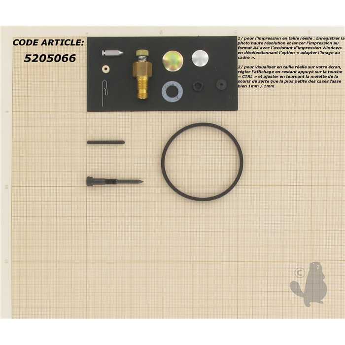 Kit réparation carburateur adaptable pour TECUMSEH H25-70 LAV25-30 HS HM40-70 V VH50-70 et TVS, 5205066, 520-5066