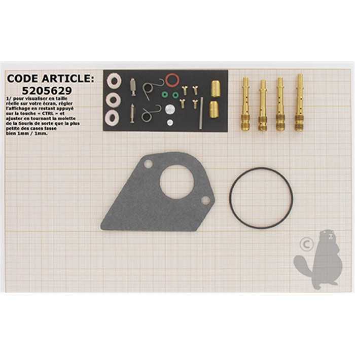 [4] Kit de réparation carburateur adaptable BRIGGS et STRATTON pour moteurs 4 temps 194700 195700 1967, 5205629, 520-5629