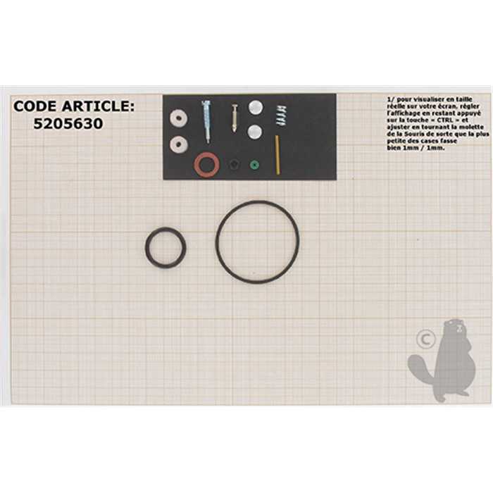 Kit de réparation carburateur adaptable BRIGGS et STRATTON pour moteurs 131700 à carburateur WALBRO., 5205630, 494349., 520-5630