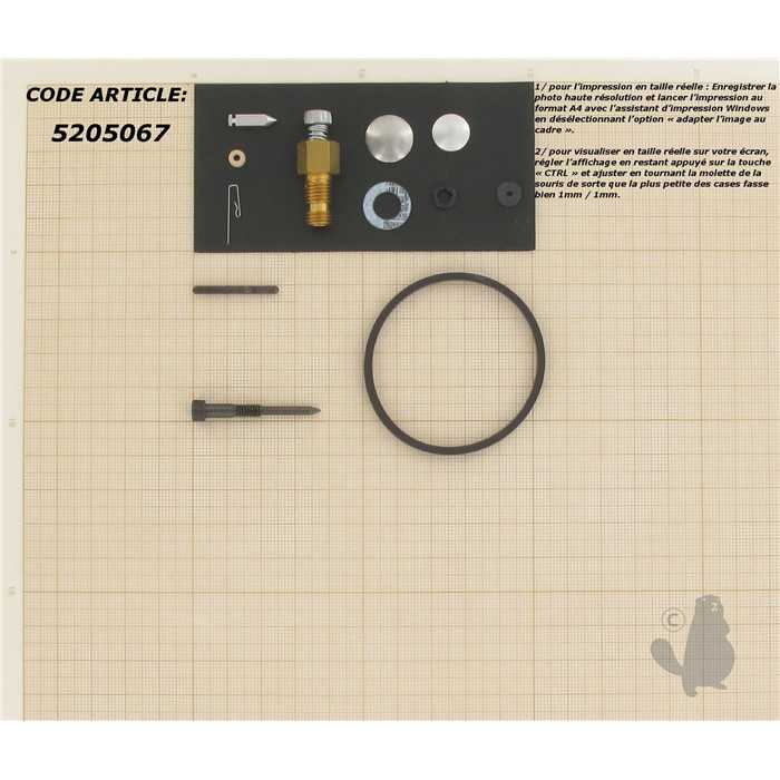 Kit réparation carburateur adaptable pour moteur TECUMSEH. Remplace origine: 631029., 5205067, 520-5067