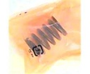 Ressort soupape GX240