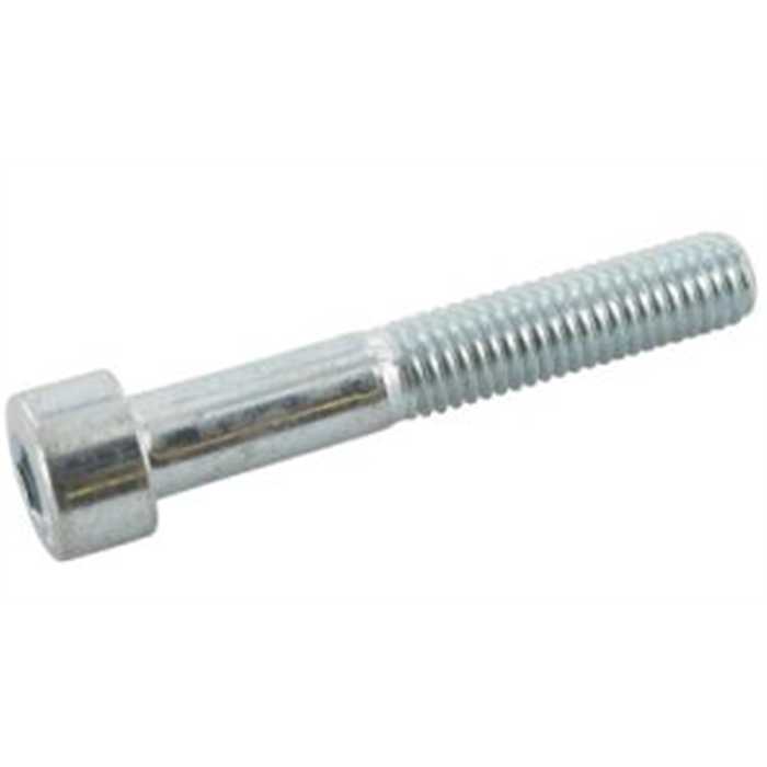 Vis cylindrique 6 pan m10x65 8.8 zingue, 9121065