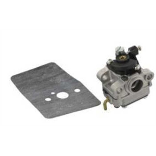 [6690487] Carburateur complet Hitachi-Hikoki WYL120