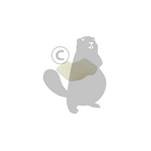 [021-166-010] Cliquet de lanceur adaptable DOLMAR - MAKITA. Remplace origine 021-166-010 021-166-011 021-166-020, 5109895, 021-166-020, 510-9895, 021-166-011, 028-166-010