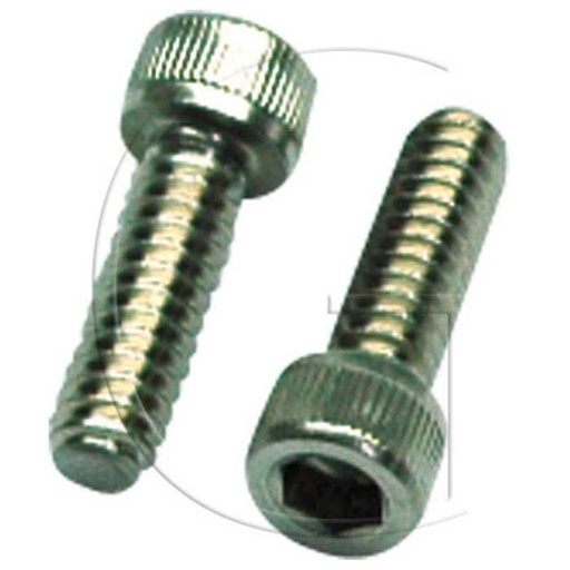 [F202] Boulon pour lame WALKER / Orig. : F202, 0106-08801