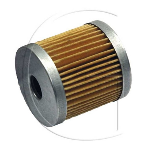 [273217509] Filtre pour gazole LOMBARDINI / Mod. : LDW903 LDW1003 / Orig. : 273217509, 3020-00166