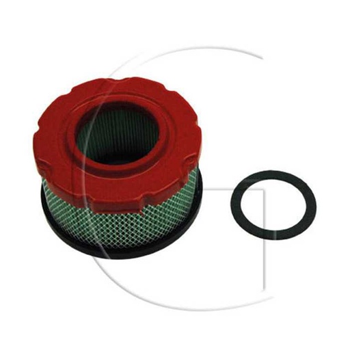 [797819] Filtre à air BRIGGS et STRATTON / Mod. : 09 10 / Orig. : 797819, 0108-14089