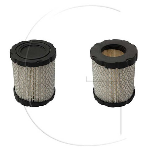 [794935, 798897] Filtre à air BRIGGS et STRATTON / Orig. : 794935 798897, 0108-09555