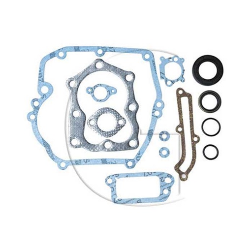[493263] Jeu de joints BRIGGS et STRATTON / Mod. : Quantum engines / Orig. : 493263, 0749-21585
