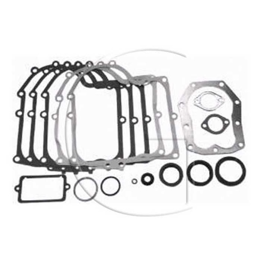 [490525, 494241] Jeu de joints BRIGGS et STRATTON / Mod. : 28M700 280700 281700 292700 283700 294700 286700 / Orig, 0149-09261