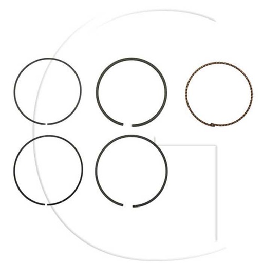 [118550358/0 MOUNTFI] Segments de piston, 118550358/0