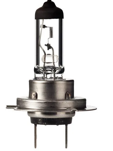 [B12067KLL] Ampoule 12 V 55 W PX26d H7 Longue durée de vie, B12067KLL