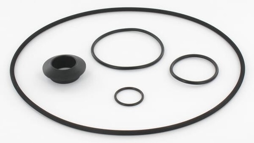 [R00005252] Bague d'étanch. Jet 251, jeu