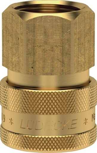 [ESOIG12I] Raccord rapide f.fem. BSP 1/2"