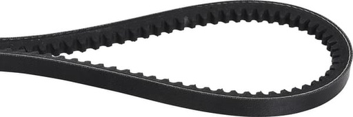 [AVX101300] Courroie