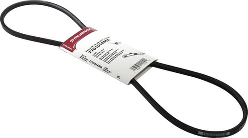 [7701014MA] Courroie, tondeuse 711933