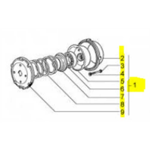 [GO0005970] Embrayage complet Goldoni