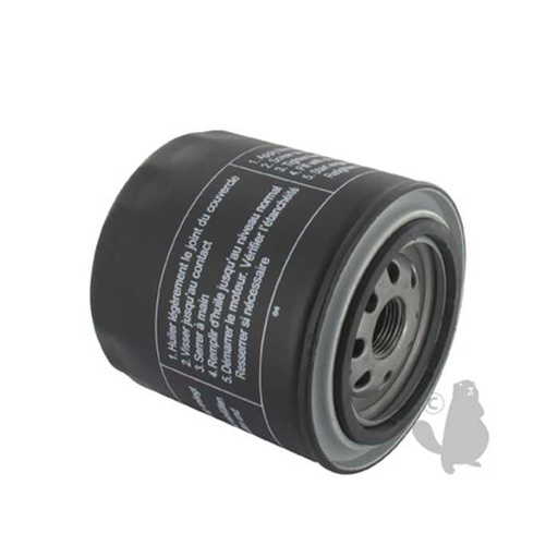 [430-4696] Filtre à huile pour BetS. Remplace 496510, 4304696, 430-4696